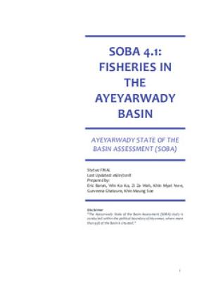 Fisheries in the Ayeyarwady Basin
