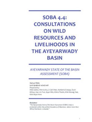 Consultation on wild resources and livelihoods in the Ayeyarwady Basin