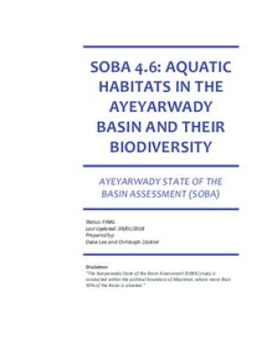 Aquatic habitats in the Ayeyarwady Basin and their biodiversity