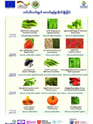 Better management practices (BMP) for vegetable production systems (Burmese version)