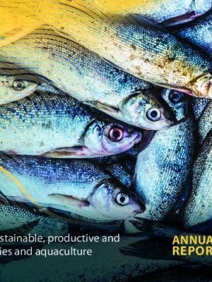 Annual Report 2019