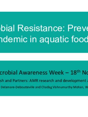 Antimicrobial Resistance: Preventing the silent pandemic in aquatic food systems