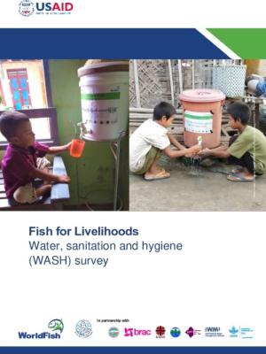 Water, sanitation and hygiene (WASH) survey