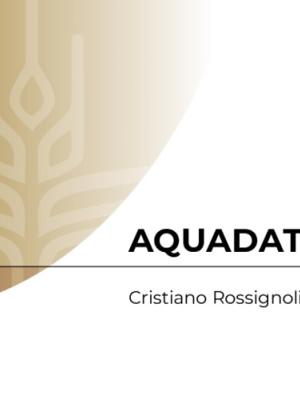 AQUADATA: A work package of the Resilient Aquatic Food Systems Initiative
