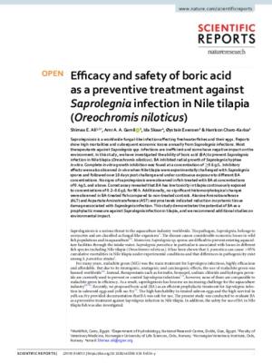 Efficacy and safety of boric acid as a preventive treatment against Saprolegnia infection in Nile tilapia (Oreochromis niloticus)