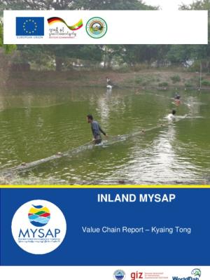 Inland MYSAP: Value chain report - Kyaing Tong