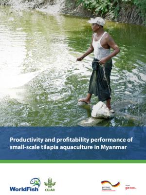 Productivity and profitability of small-scale tilapia aquaculture in Myanmar