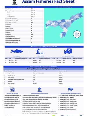 Assam fisheries fact sheet