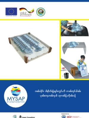 Facilitator guide: Good post-harvest practices for fresh fish trading - Big Shan language version