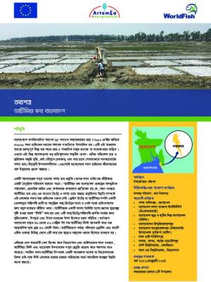 Artemia4Bangladesh (Bengali version)
