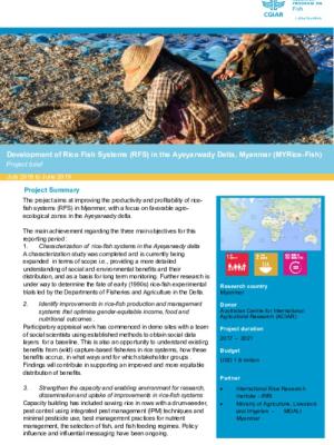 Development of Rice Fish Systems (RFS) in the Ayeyarwady Delta, Myanmar (MYRice-Fish): Project brief July 2018 to June 2019