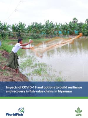 Impacts of COVID-19 and options to build resilience and recovery in fish value chains in Myanmar