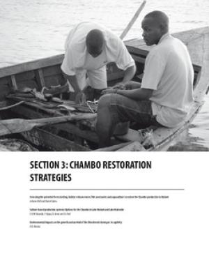 Assessing the potential for restocking, habitat enhancement, fish sanctuaries and aquaculture to restore the chambo production in Malawi