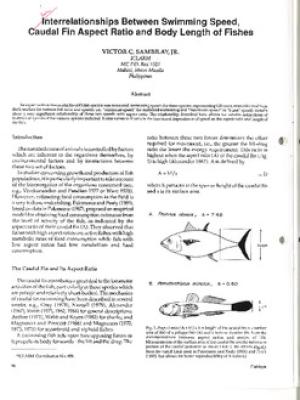 Interrelationships between swimming speed, caudal fin aspect ratio and body length of fishes