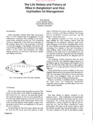 The life history and fishery of hilsa in Bangladesh and their implication for management