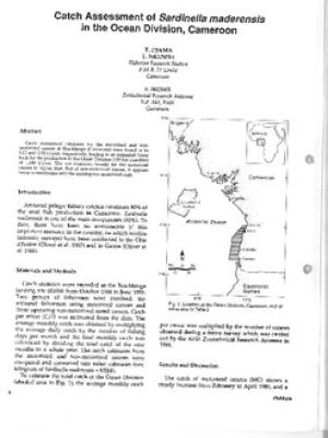 Catch assessment of Sardinella maderensis in the Ocean Division, Cameroon