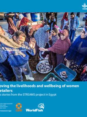 Improving the livelihoods and wellbeing of women fish retailers: Success stories from the STREAMS project in Egypt