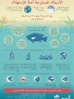 Farmed tilapia: A nutritious food source for Egypt (Arabic version)