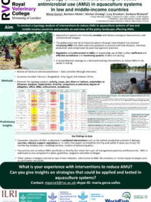 Typology of interventions aiming to reduce antimicrobial use (AMU) in aquaculture systems in low and middle-income countries