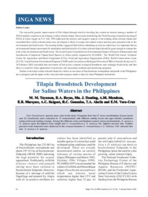 Tilapia broodstock development for saline waters in the Philippines
