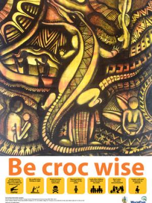 Be croc wise