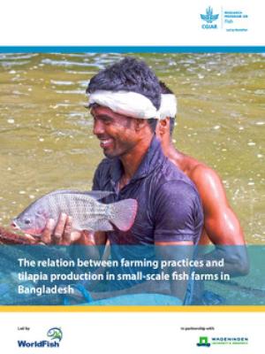 The relation between farming practices and tilapia production in small-scale fish farms in Bangladesh