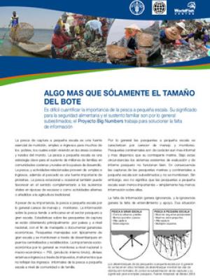 El Proyecto Big Numbers