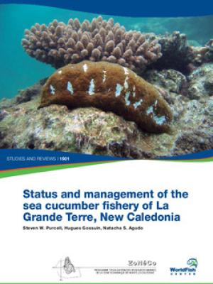 Status and management of the sea cucumber fishery of La Grande Terre, New Caledonia. Programme ZoNéCo