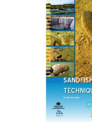 Sandfish hatchery techniques