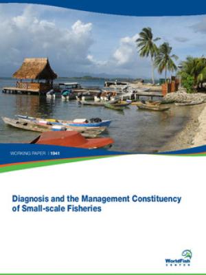 Diagnosis and the management constituency of small-scale fisheries