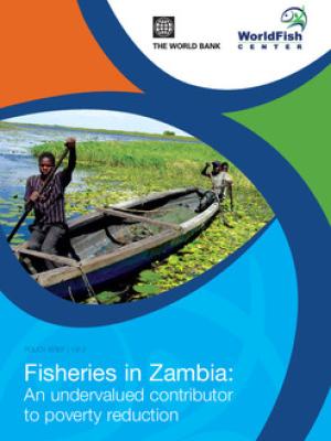 Fisheries in Zambia: an undervalued contributor to poverty reduction