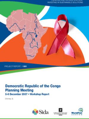 Democratic Republic of the Congo planning meeting, 5-6 Dec 2007. Workshop report