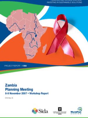 Zambia planning meeting, 8-9 Nov 2007. Workshop report