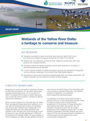 Wetlands of the Yellow River Delta: a heritage to conserve and treasure