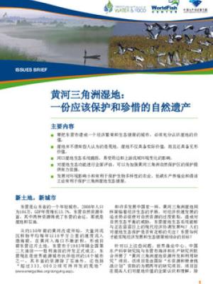 Wetlands of the Yellow River Delta: a heritage to conserve and treasure [chinese version]
