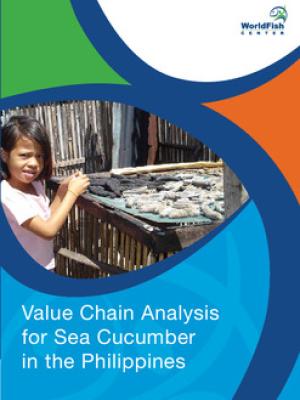 Value chain analysis for sea cucumber in the Philippines