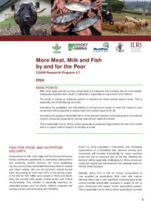More meat, milk and fish by and for the poor --- CGIAR Research Program 3.7 - Fish