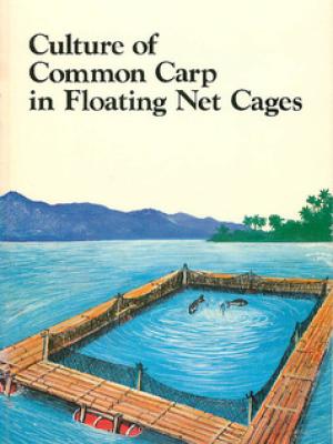 Culture of common carp in floating net cages