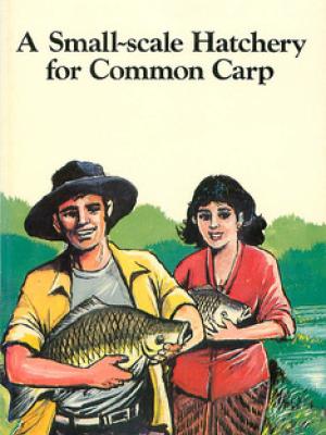A small-scale hatchery for common carp