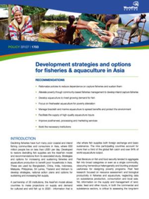 Development strategies and options for fisheries and aquaculture in Asia
