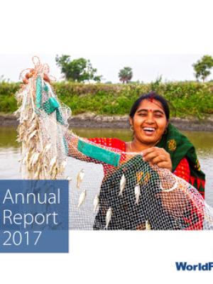 Annual report 2017