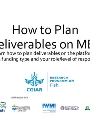 Guideline on how to plan a deliverable through the MEL platform
