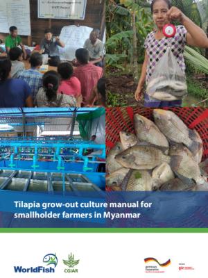 Tilapia grow-out culture manual for smallholder farmers in Myanmar