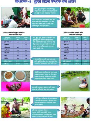 Festoon on supplementary food application in pond