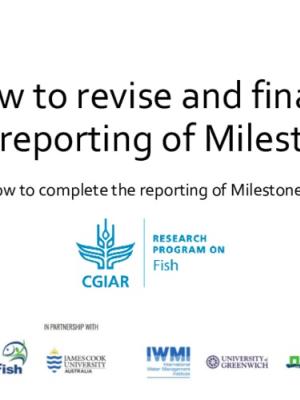 Illustrated guideline on how to finalize the reporting of Milestones via the Monitoring, Evaluation and Learning (MEL) platform