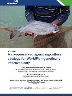 A cryopreserved sperm repository strategy for WorldFish genetically improved carp