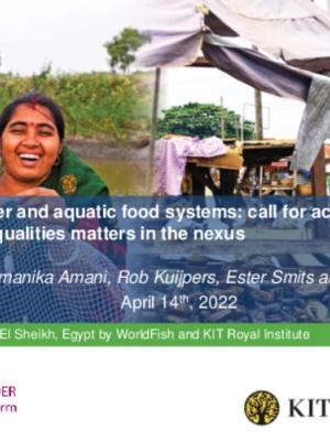 Climate change, gender and aquatic food systems: call for action to address gender and social inequalities matters in the nexus