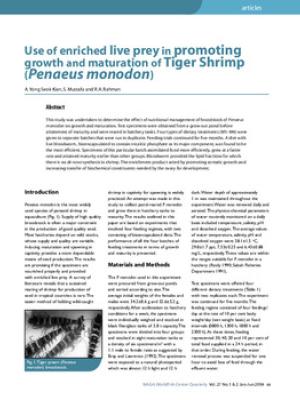 Use of enriched live prey in promoting growth and maturation of tiger shrimp (Penaeus monodon)