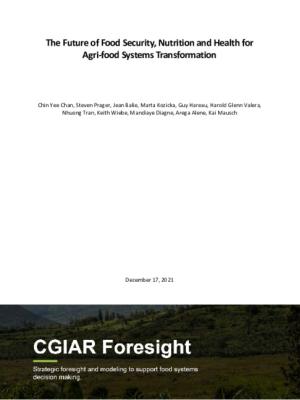 The Future of Food Security, Nutrition and Health for Agri-food Systems Transformation