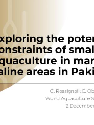 Exploring the potential and constraints of smallholder aquaculture in marginalized saline areas in Pakistan
